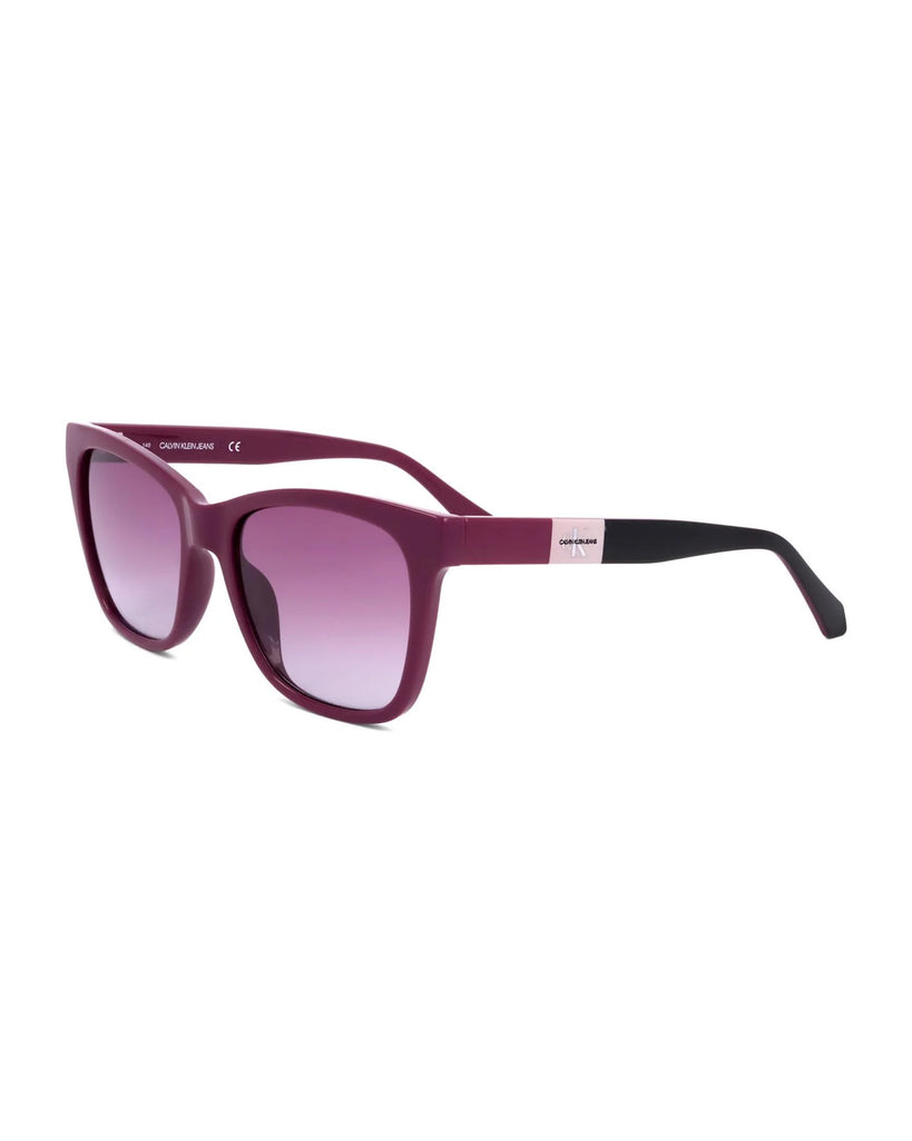 Purple Plastic Sunglasses