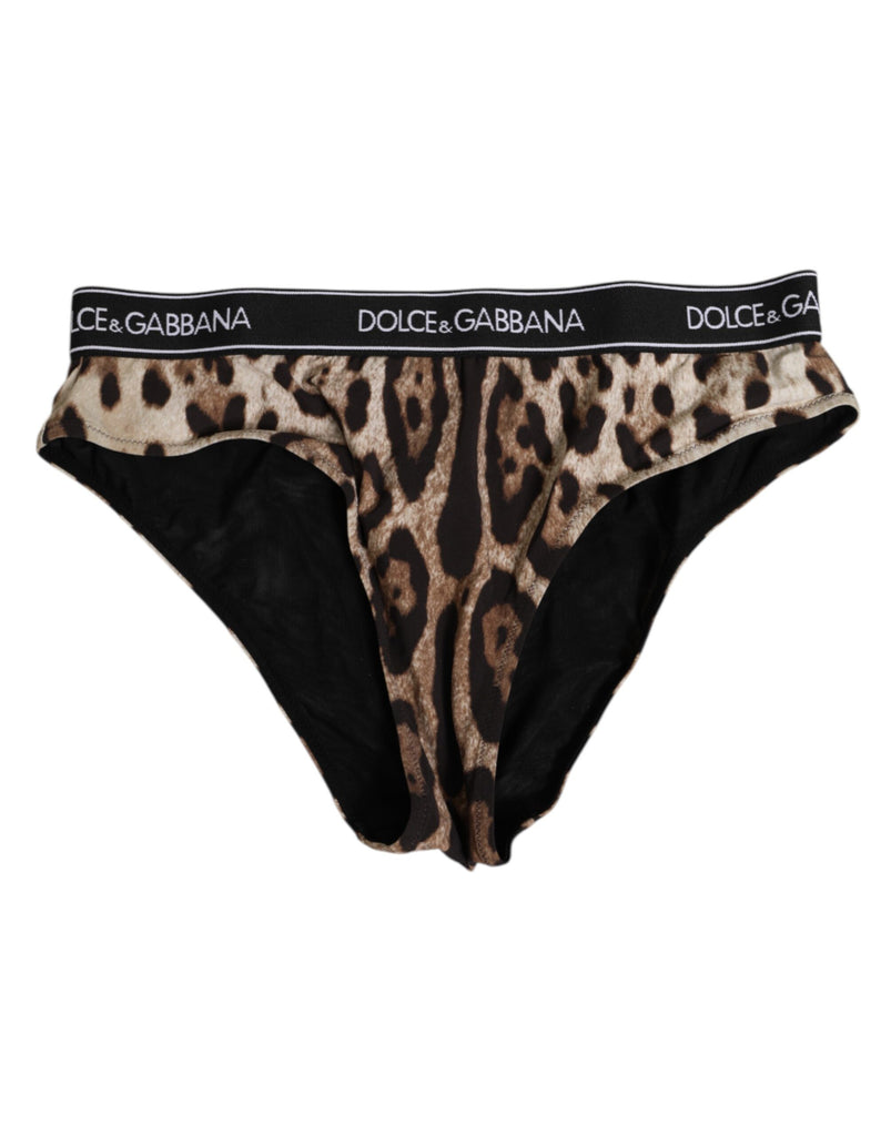 Brown Leopard Nylon High Waist Panty Underwear