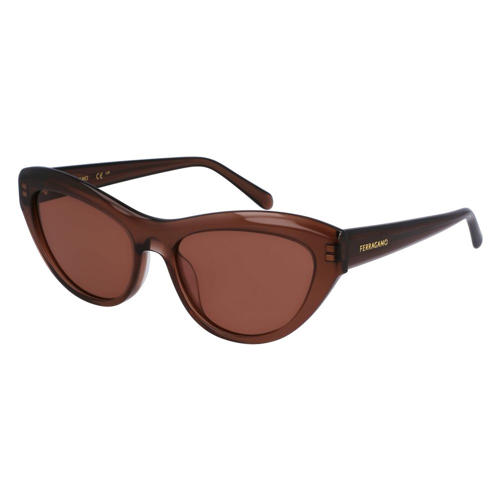 Brown Acetate Sunglasses